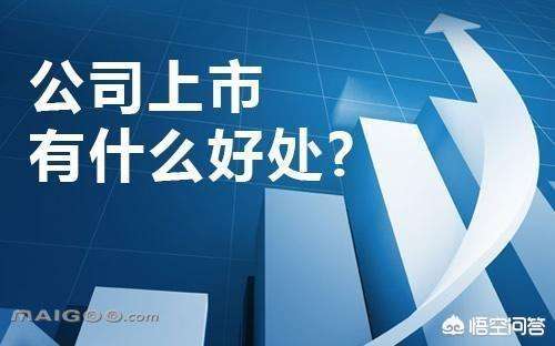 企業(yè)成長與資本運作的關(guān)鍵路徑，上市的必要性探討