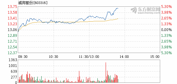 誠邦股票行情，自然魔法之旅的塵囂之外探索