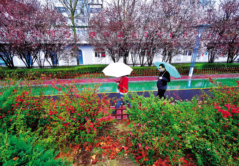 最新花雨風(fēng)采，與自然美景的邂逅與內(nèi)心的平和之旅